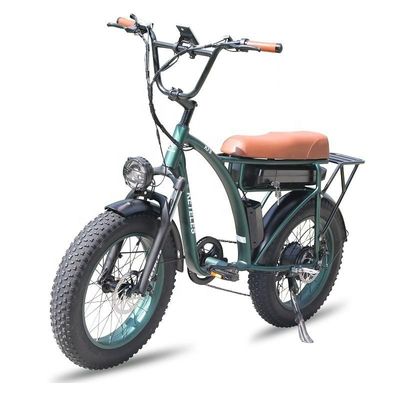 23AH Battery Capacity 1000W 2000W Motor 20 inch Fat Bike Electric Bike Custom Support