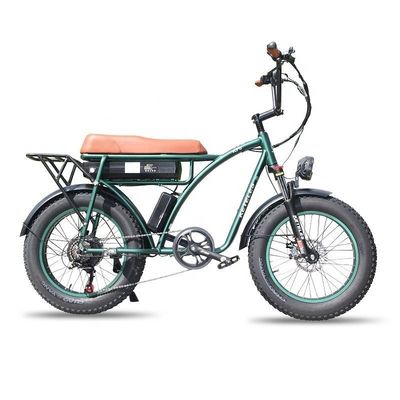 23AH Battery Capacity 1000W 2000W Motor 20 inch Fat Bike Electric Bike Custom Support