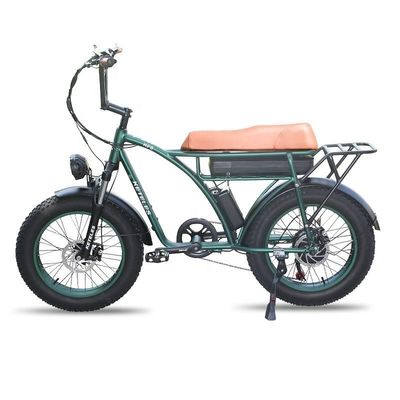 23AH Battery Capacity 1000W 2000W Motor 20 inch Fat Bike Electric Bike Custom Support