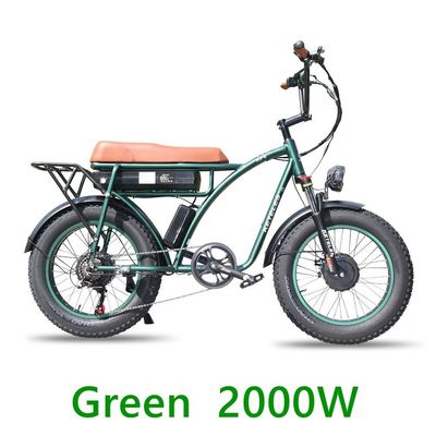 48V 23Ah Lithium Battery Electric Bike with Mechanical Disc Brake and Powerful Motor