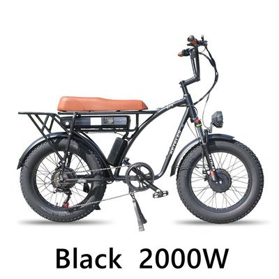48V 23Ah Lithium Battery Electric Bike with Mechanical Disc Brake and Powerful Motor
