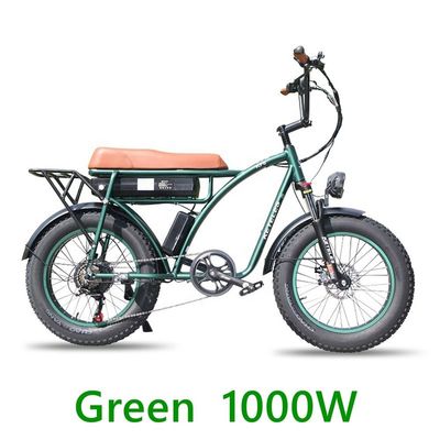 48V 23Ah Lithium Battery Electric Bike with Mechanical Disc Brake and Powerful Motor