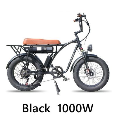 48V 23Ah Lithium Battery Electric Bike with Mechanical Disc Brake and Powerful Motor
