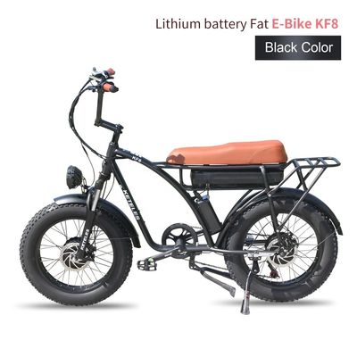 48V 23Ah Lithium Battery Electric Bike with Mechanical Disc Brake and Powerful Motor