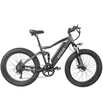 48V 250W Motor Electric Mountain Bike with 10AH Lithium Battery and Integrated Battery