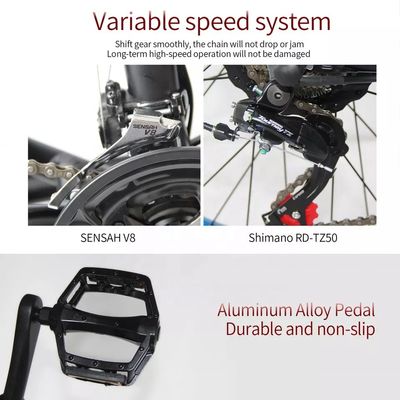 48V 250W Motor Electric Mountain Bike with 10AH Lithium Battery and Integrated Battery