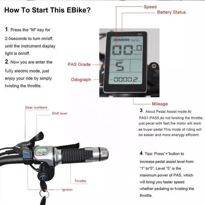 48V 250W Motor Electric Mountain Bike with 10AH Lithium Battery and Integrated Battery