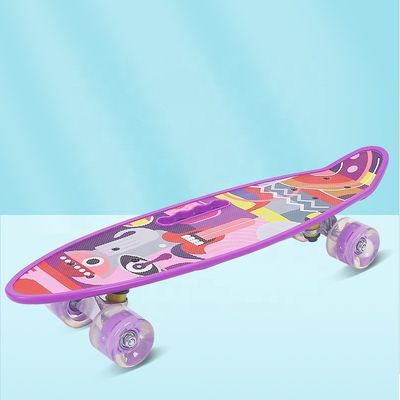 Flat-Plate Hand-held Small Fish Board Printed Skateboard Four Wheel Flash Mobility Scooter For Boys And Girls