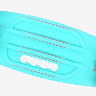 Flat-Plate Hand-held Small Fish Board Printed Skateboard Four Wheel Flash Mobility Scooter For Boys And Girls