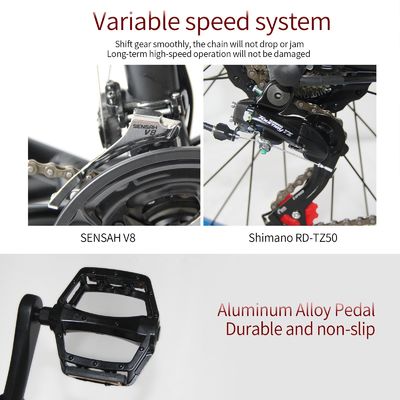 Aluminum Alloy Frame 48V 13AH Lithium Battery Fat Tire Electric Bike with 1000W Motor