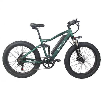 Aluminum Alloy Frame 48V 13AH Lithium Battery Fat Tire Electric Bike with 1000W Motor