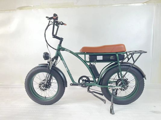2000W Dual Motor Electric Bike with Rear Hub Motor Position and 3 hours Charging Time