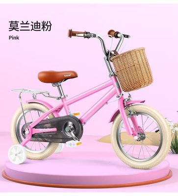 Steel Fork Children's Training Wheel Bike for Girls and Boys Age 2-7 Running Cycling