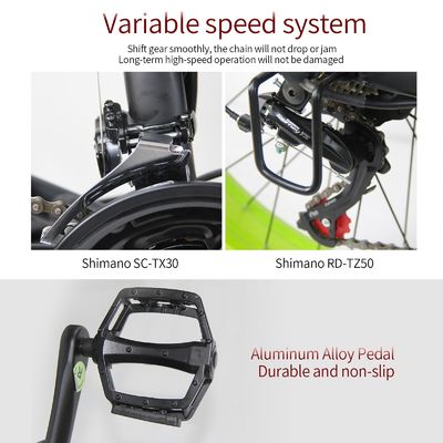 26AH 2000W High Power Two Wheel Drive Dual Motor Electric Bike with 26x4.0 inch Fat Tire