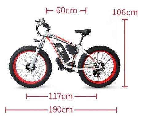 2000W Electric Bike with 21AH Lithium Battery and 26x4.0 inch Fat Tire in EU Warehouse