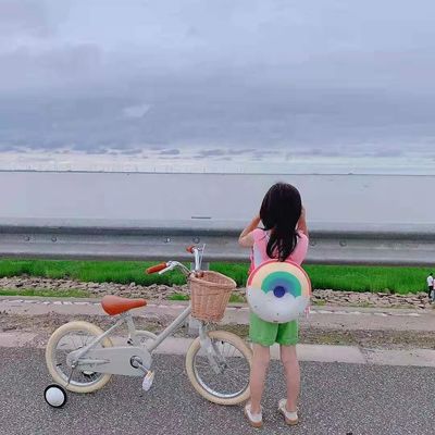 Alloy Rim INS Style 16 Inch Retro Children's Bicycle Single Speed for 4-8 Year Old Kids