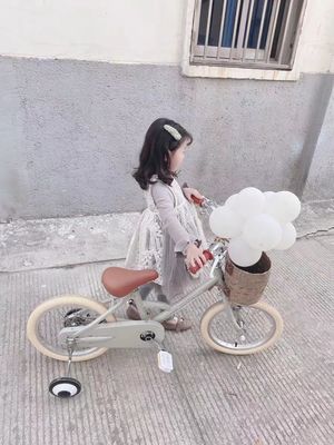 Alloy Rim INS Style 16 Inch Retro Children's Bicycle Single Speed for 4-8 Year Old Kids