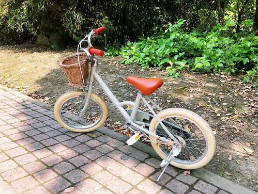 Alloy Rim INS Style 16 Inch Retro Children's Bicycle Single Speed for 4-8 Year Old Kids