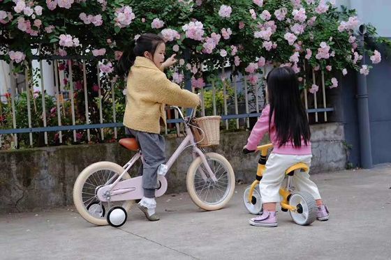 Alloy Rim INS Style 16 Inch Retro Children's Bicycle Single Speed for 4-8 Year Old Kids