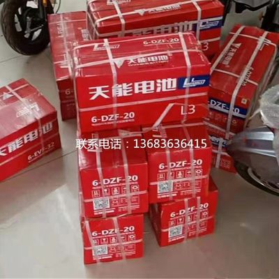 12V20.2Ah 6-DZF-20.2 Dry Charged Sealed GEL Lead Acid Battery for Electric Skateboard