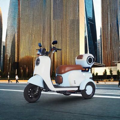 600W Motor Power 3-Wheel Scooter for Adults Rear Hub Motor Position Integrated Battery