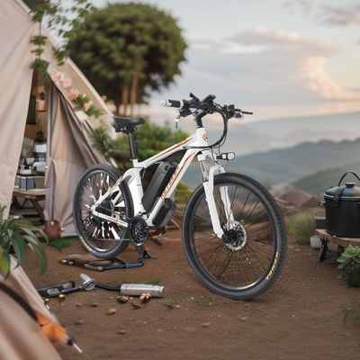 Experience the Power of 26&quot; Professional K820 Mountain E-Bike 48V 350W Rear Hub Motor
