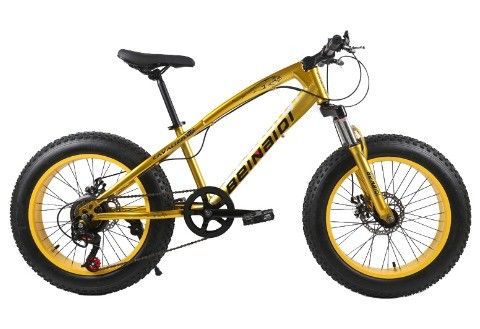 20 Inch Children's Beach Snow Bike 4.0 Fat Tire Mountain Bicycle with 7/21/24/27 Speeds