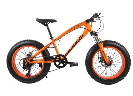 20 Inch Children's Beach Snow Bike 4.0 Fat Tire Mountain Bicycle with 7/21/24/27 Speeds