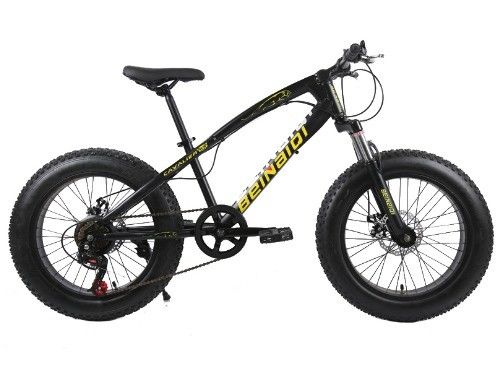 20 Inch Children's Beach Snow Bike 4.0 Fat Tire Mountain Bicycle with 7/21/24/27 Speeds