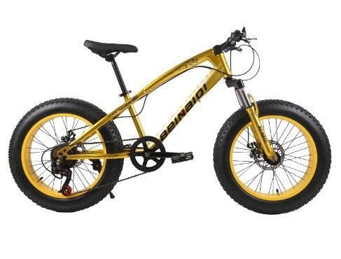 20 Inch Children's Beach Snow Bike 4.0 Fat Tire Mountain Bicycle with 7/21/24/27 Speeds